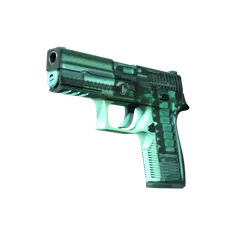 P250 X-Ray