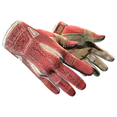 Sport Gloves Slingshot