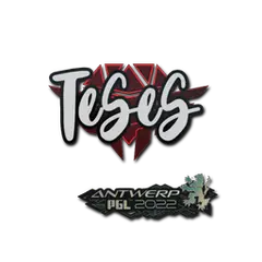 Sticker TeSeS Antwerp 2022