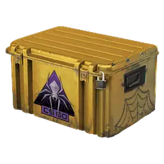 Shattered Web Case
