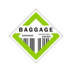The Baggage Collection