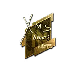 Sticker | xms (Gold) | Boston 2018