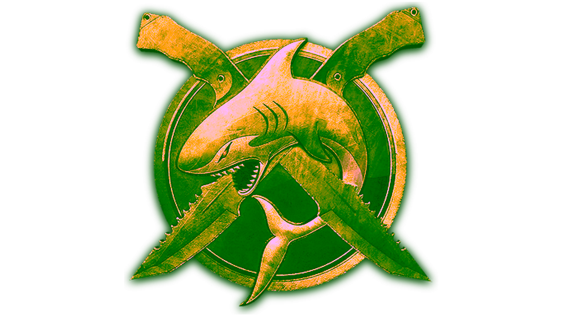 Display for Gold Operation Riptide Coin