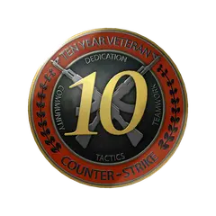10 Year Veteran Coin