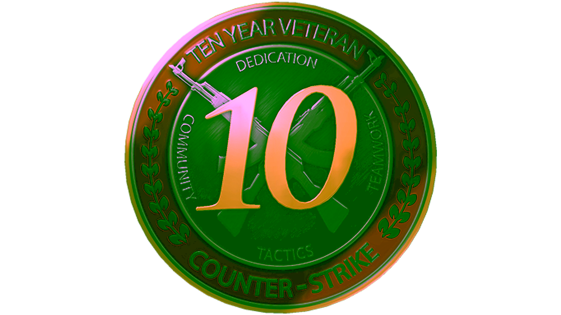 Display for 10 Year Veteran Coin