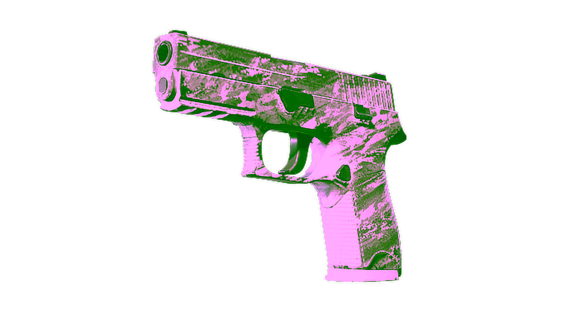 Display for Souvenir P250 | Sleet (Well-Worn)