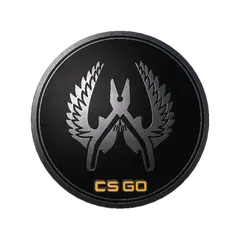 Guardian Elite Pin