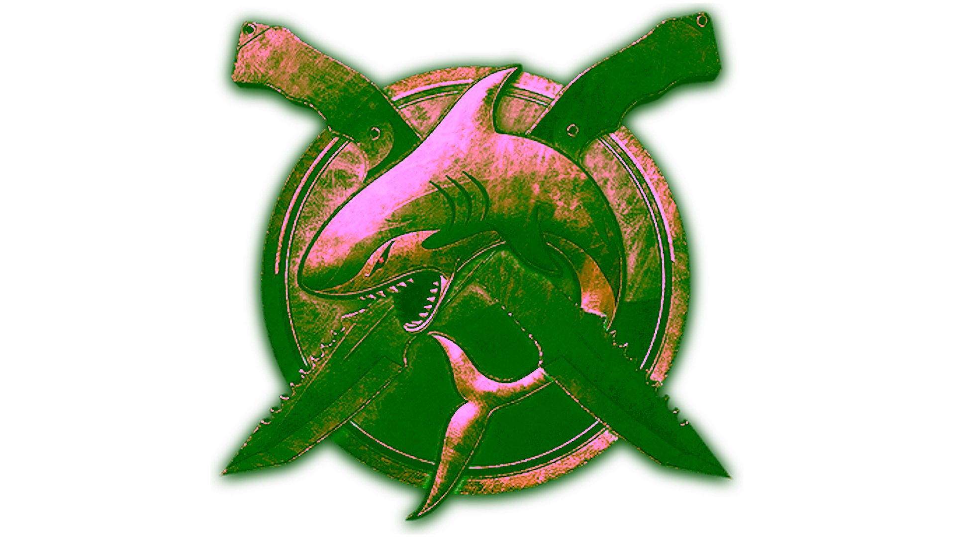 Display for Operation Riptide Challenge Coin