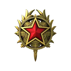 2020 Service Medal