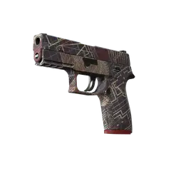 P250 Facility Draft