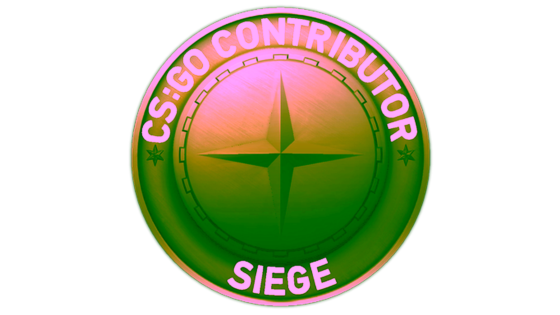 Display for Siege Map Coin