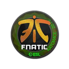 Fnatic (Holo) | Katowice 2019