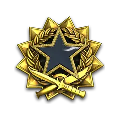2017 Service Medal