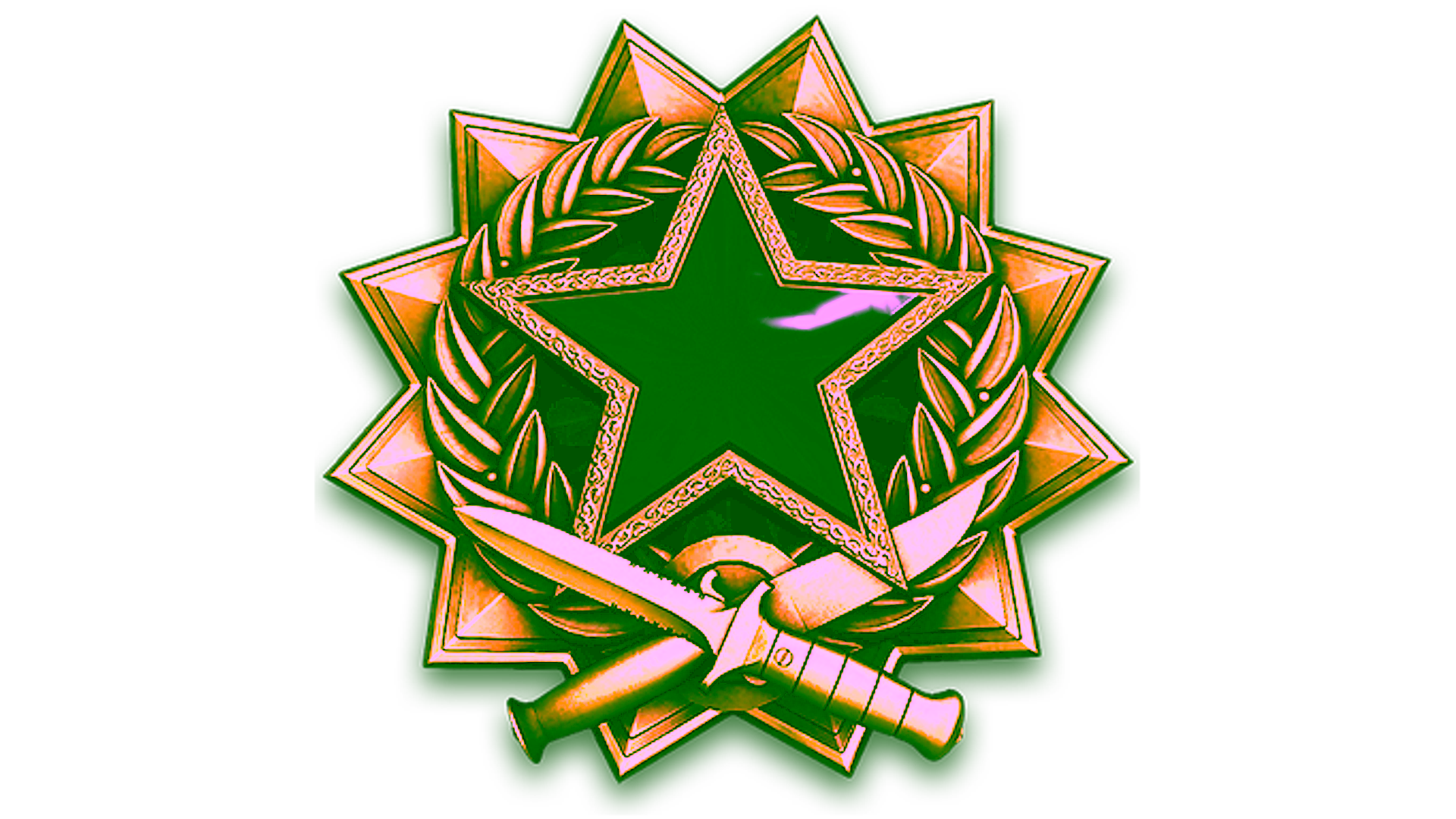 Display for 2017 Service Medal