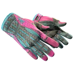 ★ Sport Gloves | Vice (Well-Worn)