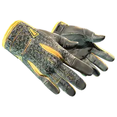 ★ Sport Gloves | Omega (Well-Worn)