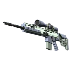 SCAR-20 Storm