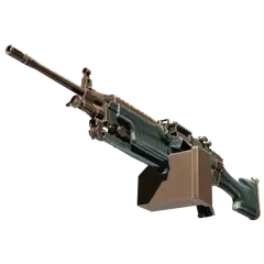 M249 Submerged