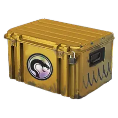 Recoil Case