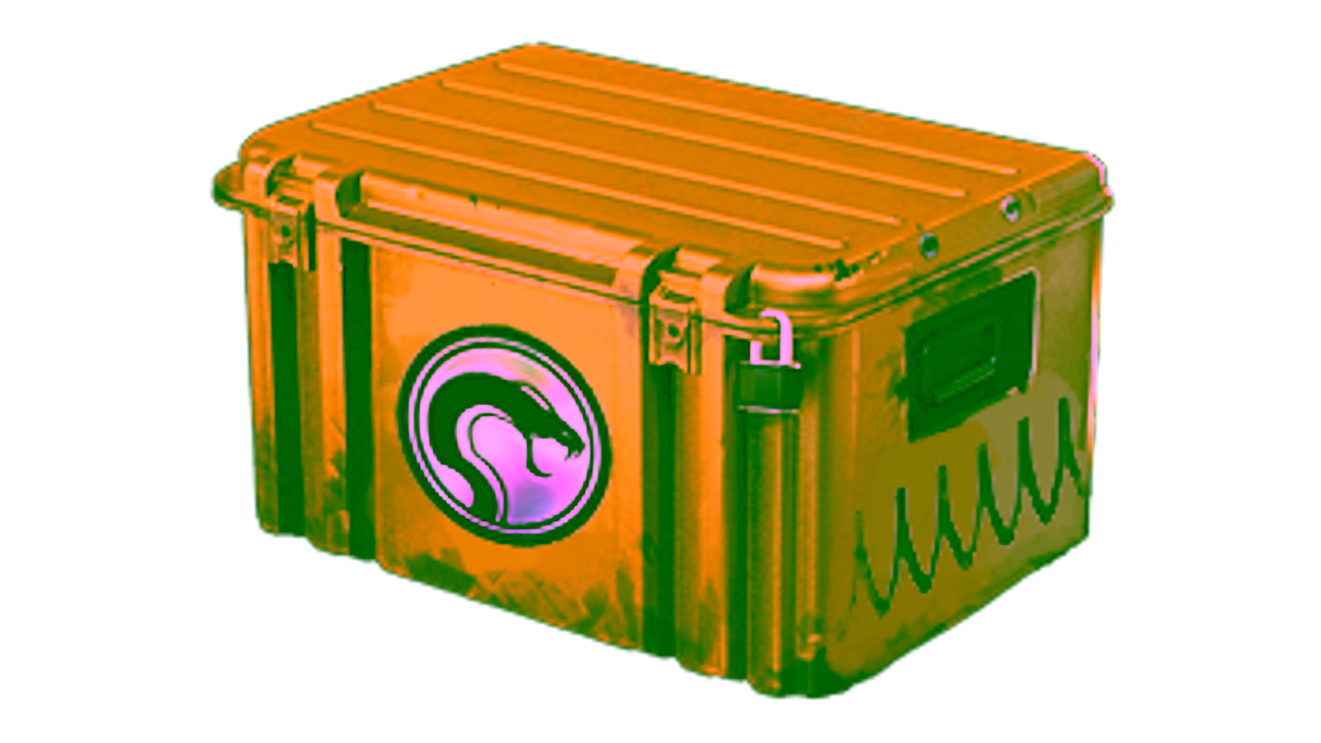 Display for Recoil Case