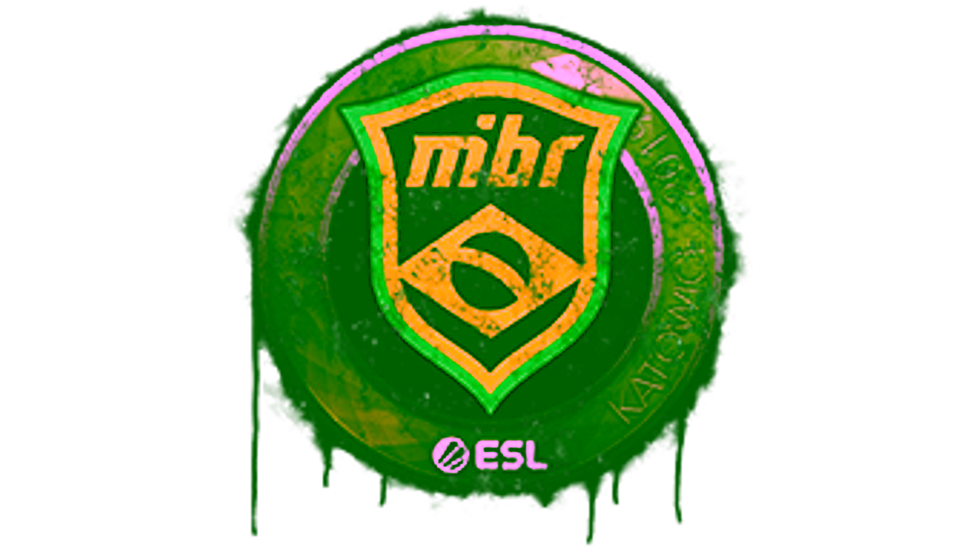 Display for Sealed Graffiti | MIBR | Katowice 2019