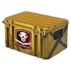 Falchion Case