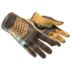 Driver Gloves Overtake