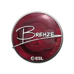 Sticker Brehze Katowice 2019