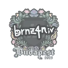 Sticker brnz4n Budapest 2025