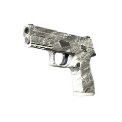 P250 Sleet