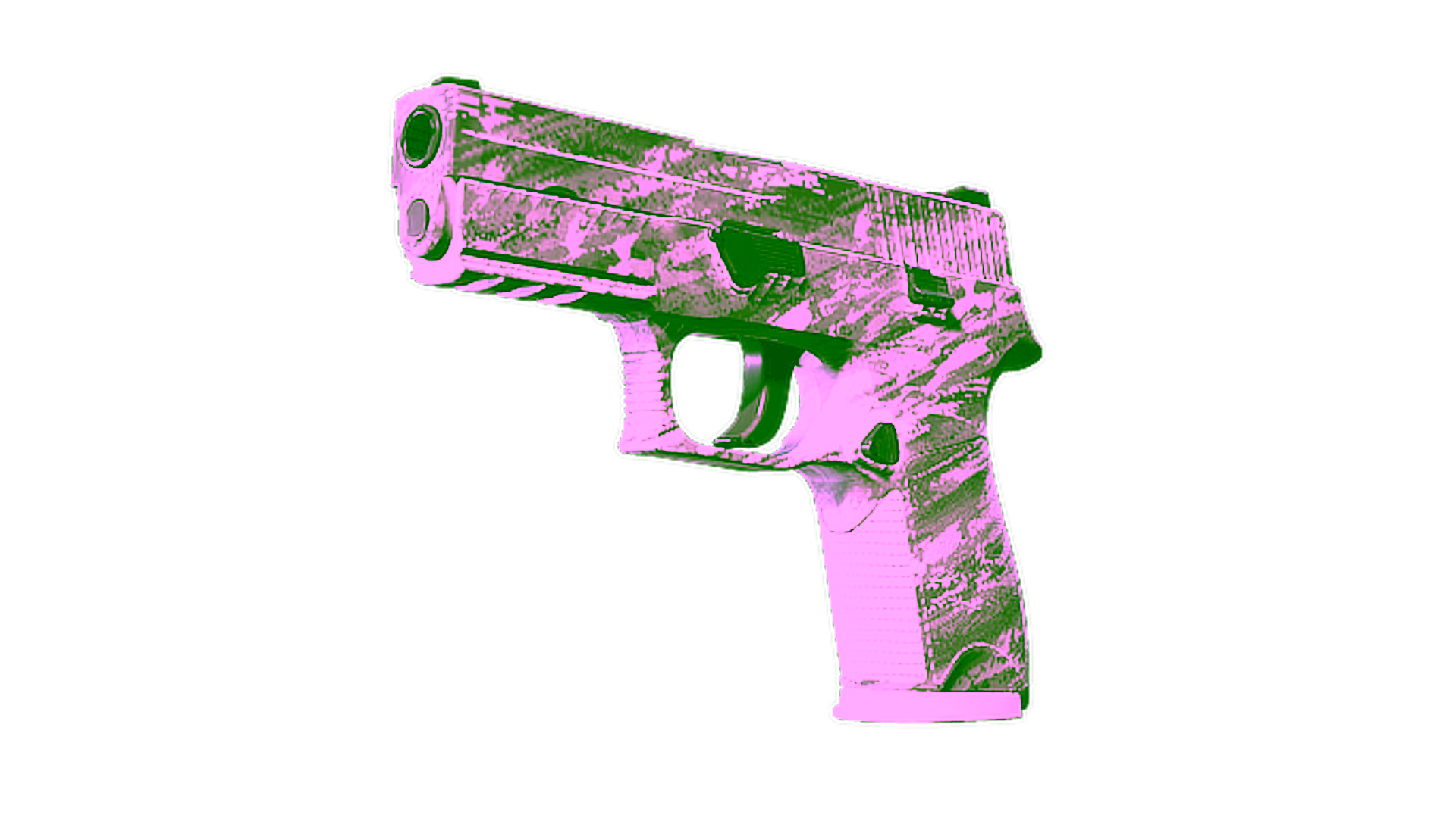 Display for P250 | Sleet (Factory New)