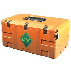 Gallery Case