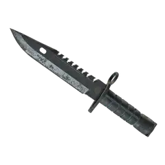 ★ M9 Bayonet | Night (Battle-Scarred)