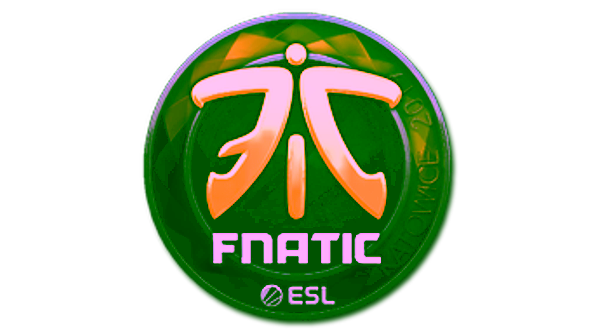 Дисплей для Sticker | Fnatic (Foil) | Katowice 2019