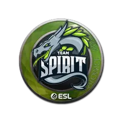 Sticker Team Spirit Katowice 2019