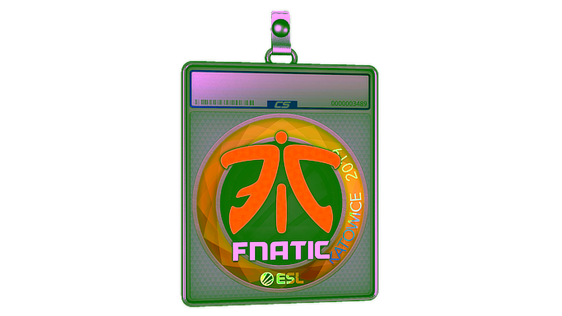 Display for Sticker Slab | Fnatic (Holo) | Katowice 2019