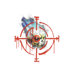 Sealed Graffiti Skull n' Crosshairs