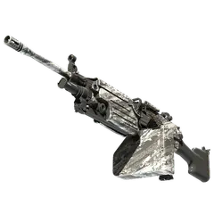 M249 Sleet