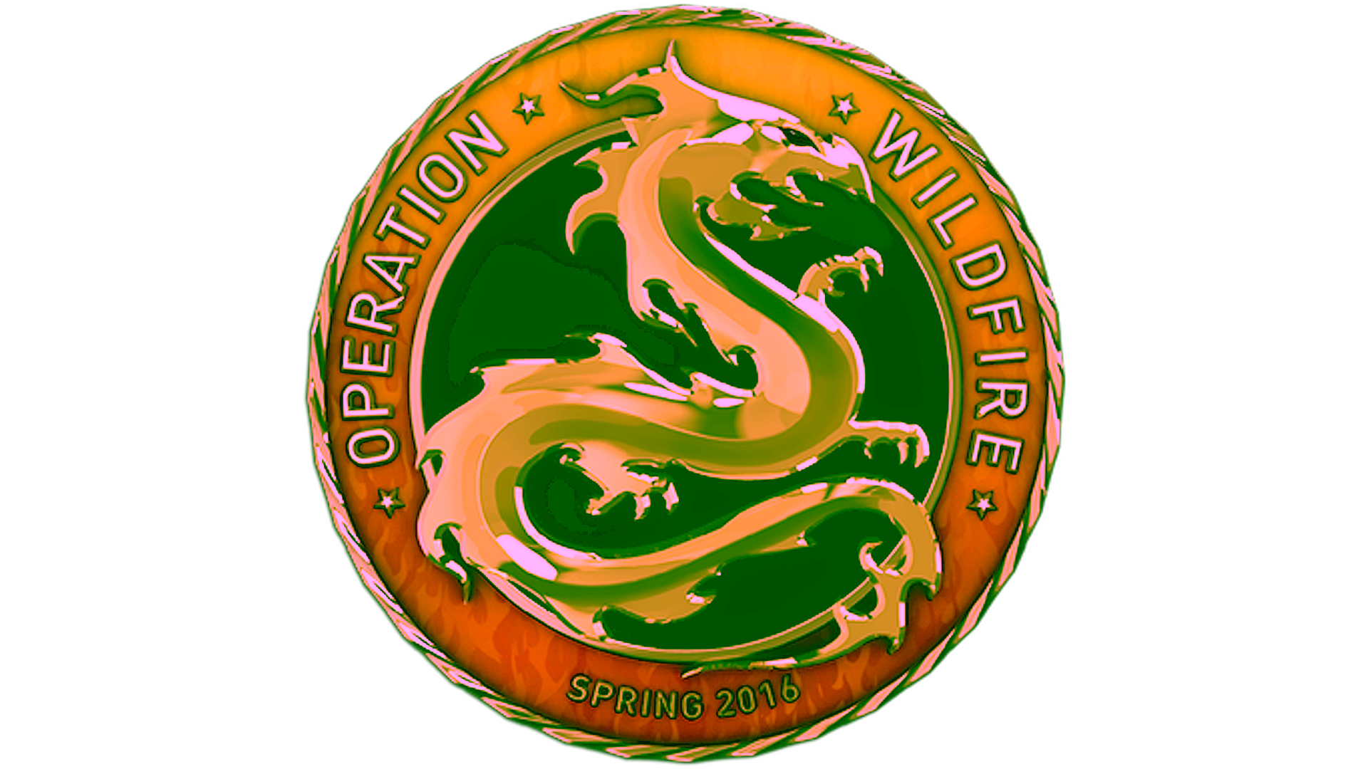 Display for Gold Operation Wildfire Coin
