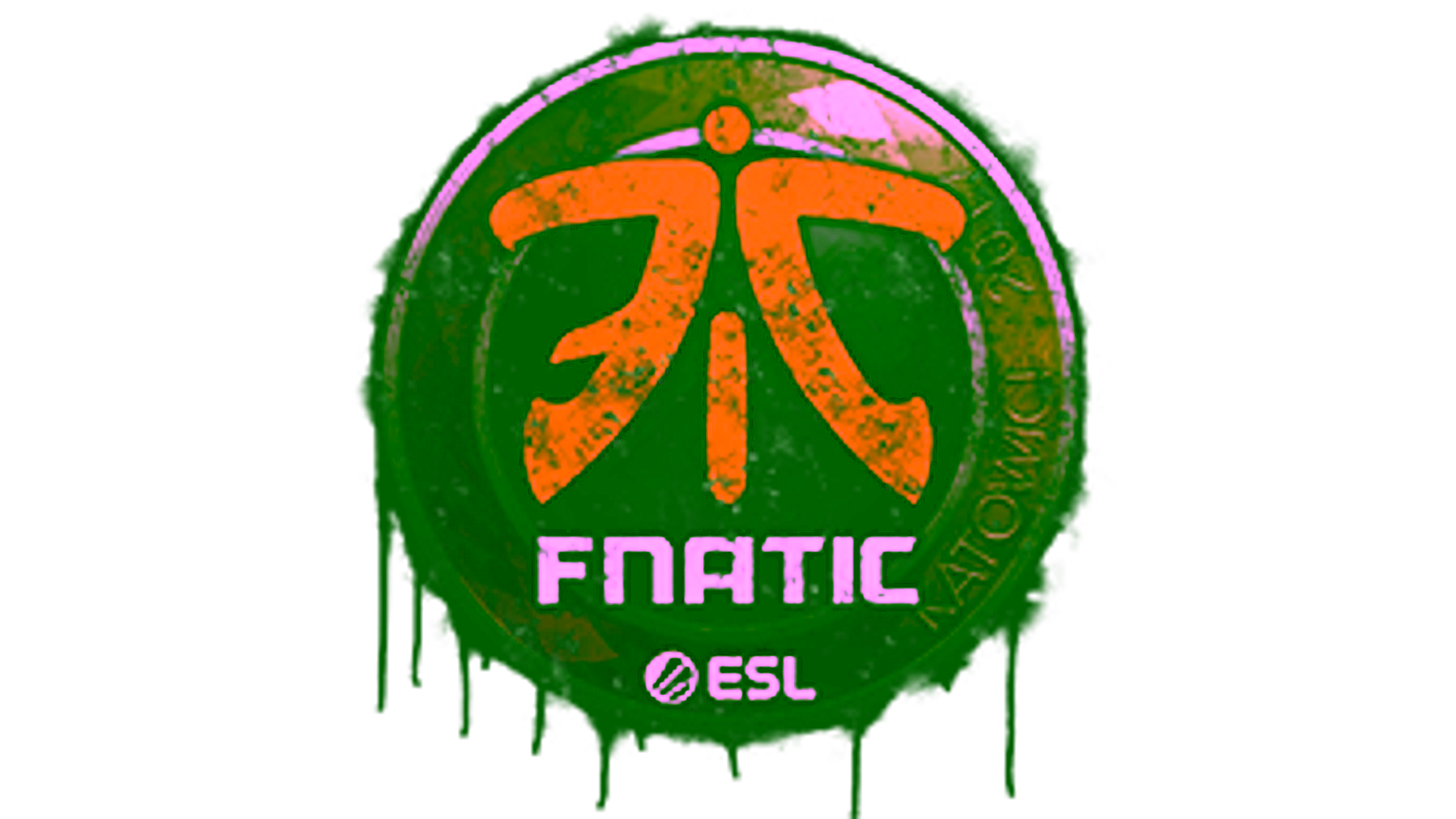 Display for Sealed Graffiti | Fnatic | Katowice 2019