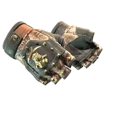 ★ Bloodhound Gloves | Snakebite (Well-Worn)