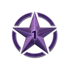 1 Star for Operation Shattered Web