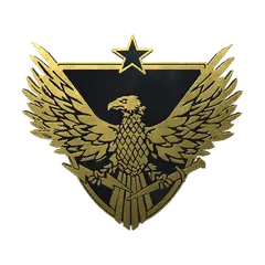 Brigadier General Pin