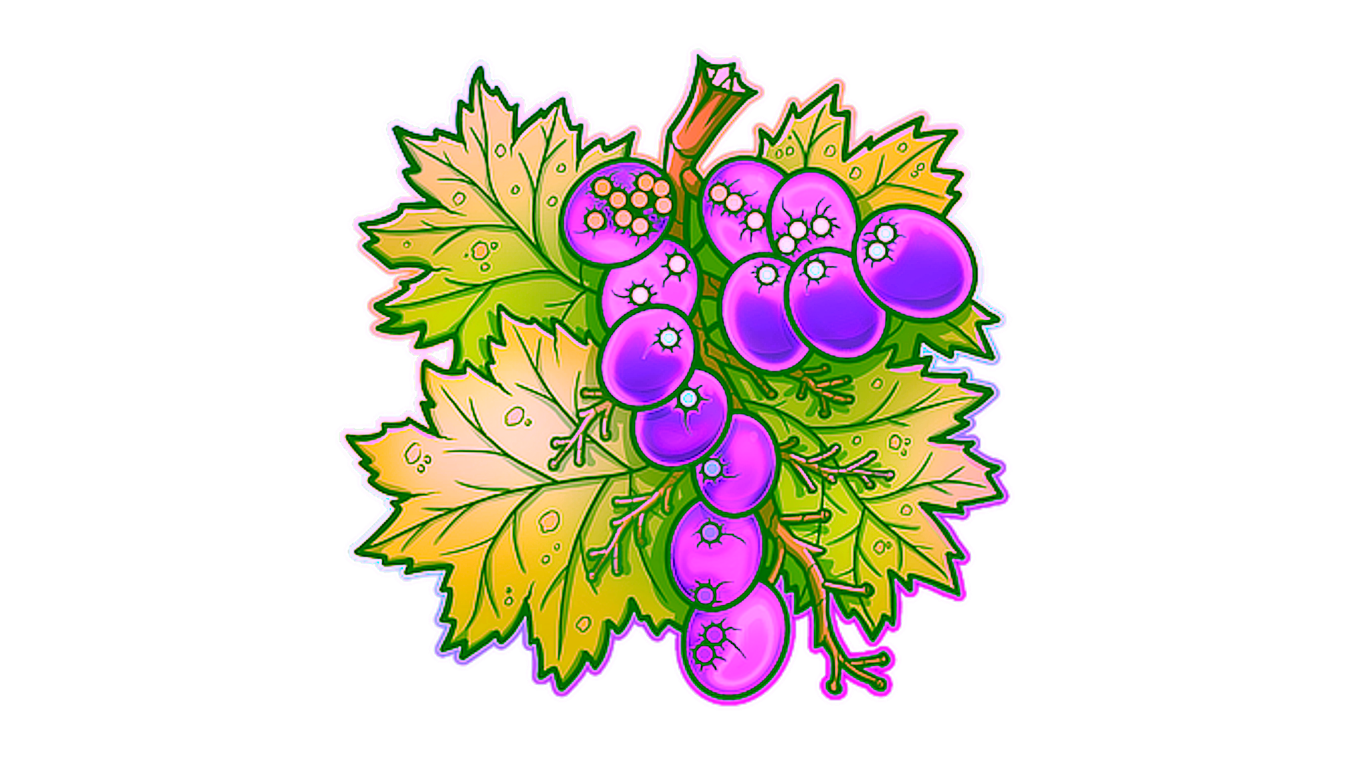 Дисплей для Sticker | From The Vine (Holo)