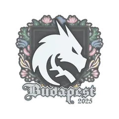 Sticker Team Spirit Budapest 2025