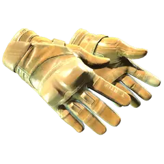Moto Gloves Transport
