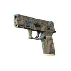 P250 Exchanger