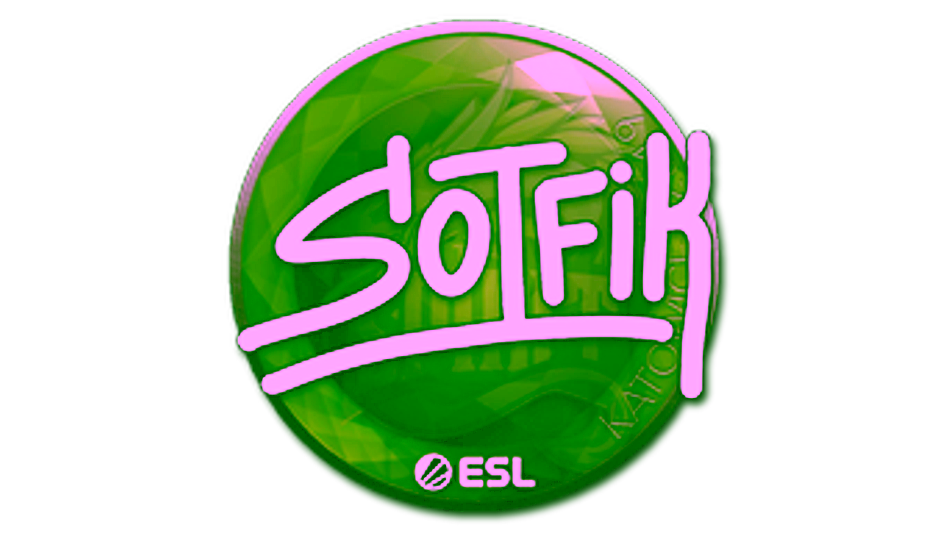 Display for Sticker | S0tF1k | Katowice 2019