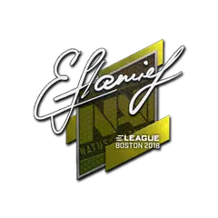 flamie | Boston 2018