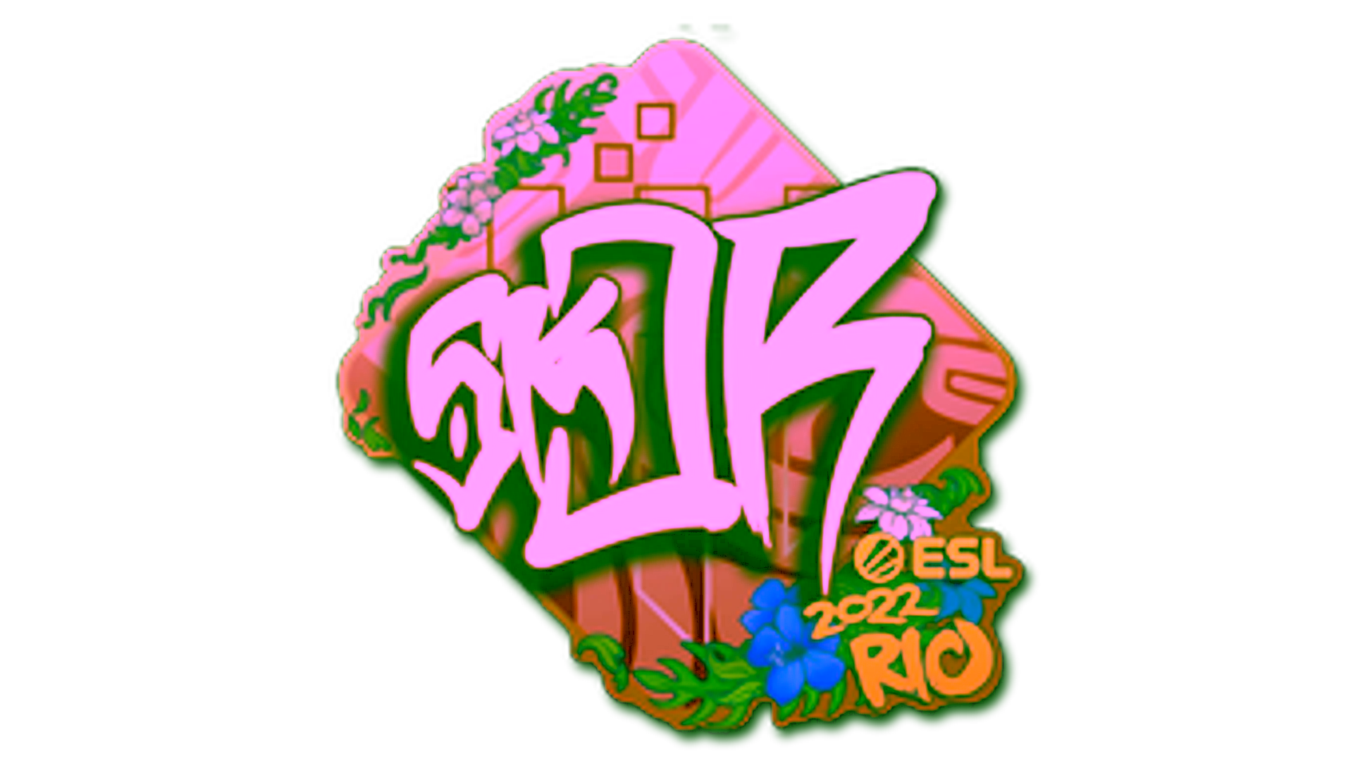 Display for Sticker | sk0R | Rio 2022